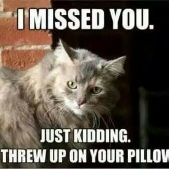 Meet your Posher - Picture 2 of 2